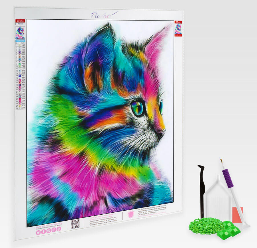 Katzenbaby mit Regenbogenfell - Diamond Painting