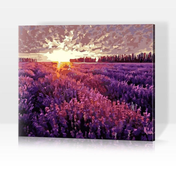 Schwierigkeit: Hoch Landschaftsbilder Sonnenuntergang über dem Lavendelfeld - Malen nach Zahlen