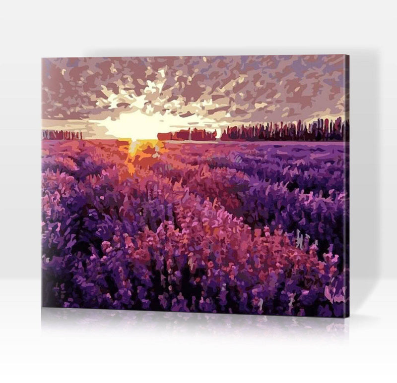 Schwierigkeit: Hoch Landschaftsbilder Sonnenuntergang über dem Lavendelfeld - Malen nach Zahlen