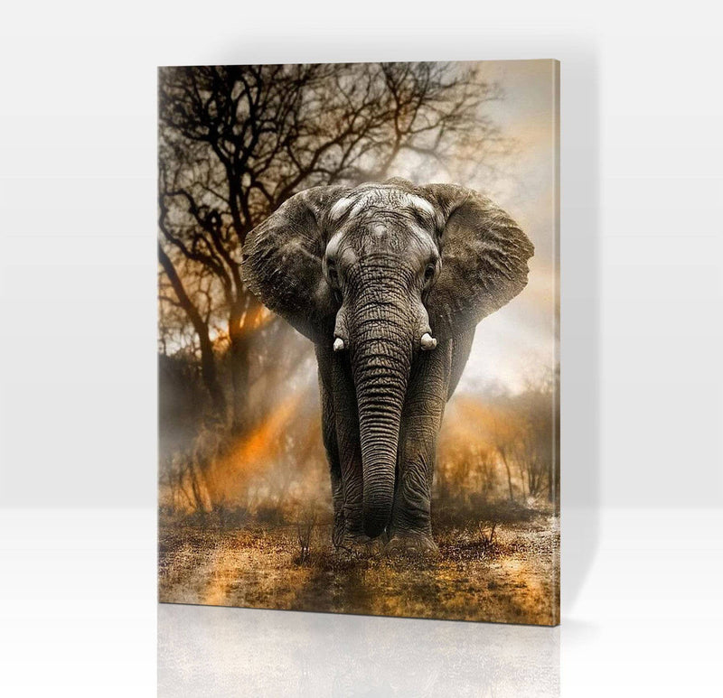Schwierigkeit: Hoch Tierbilder Im Angesicht des Elefantenbullen - Malen nach Zahlen