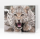 Schwierigkeit: Hoch Tierbilder Raww: Leopard zeigt die Zähne - Malen nach Zahlen