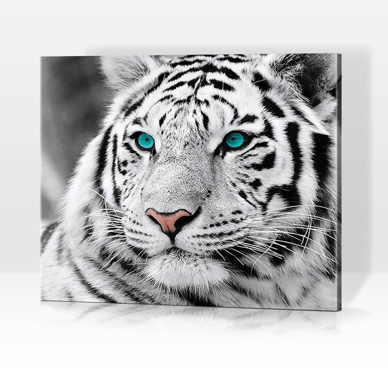 Schwierigkeit: Mittel Tierbilder Weißer Tiger mit eisblauen Augen - Malen nach Zahlen