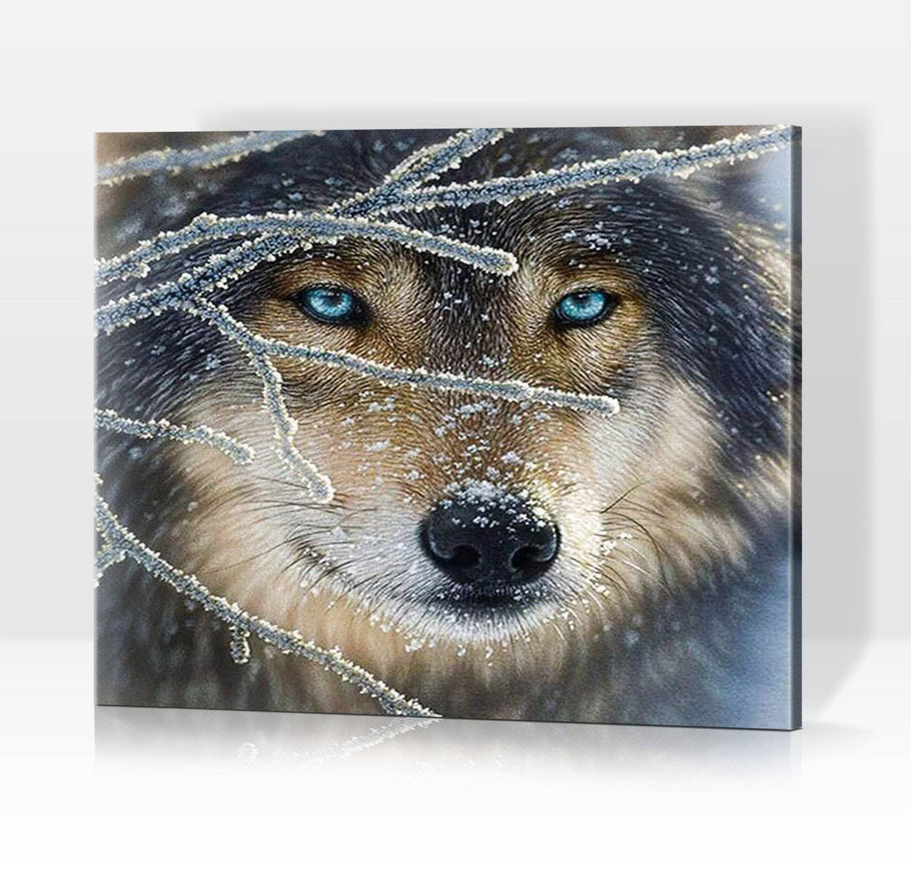 Schwierigkeit: Hoch Tierbilder Wolf mit eisblauen Augen - Malen nach Zahlen